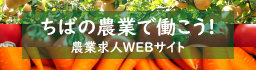 banner_04.jpg
